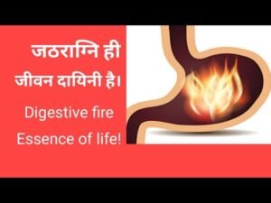 Read more about the article JATHARAGNI – Digestive Fire