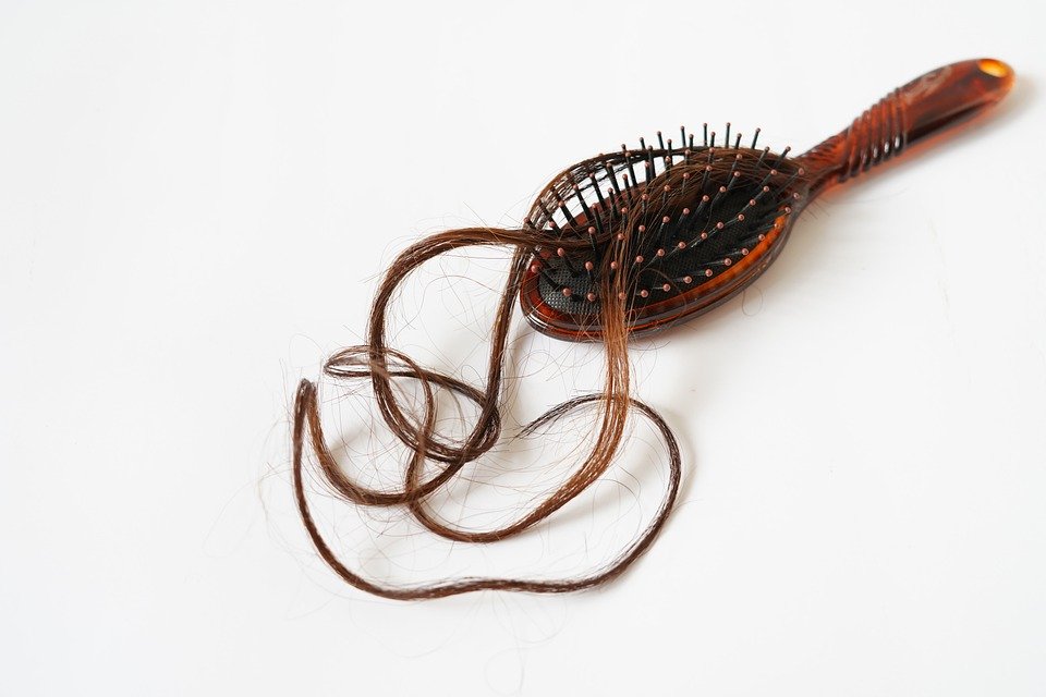 You are currently viewing Ayurveda treatment for hair fall