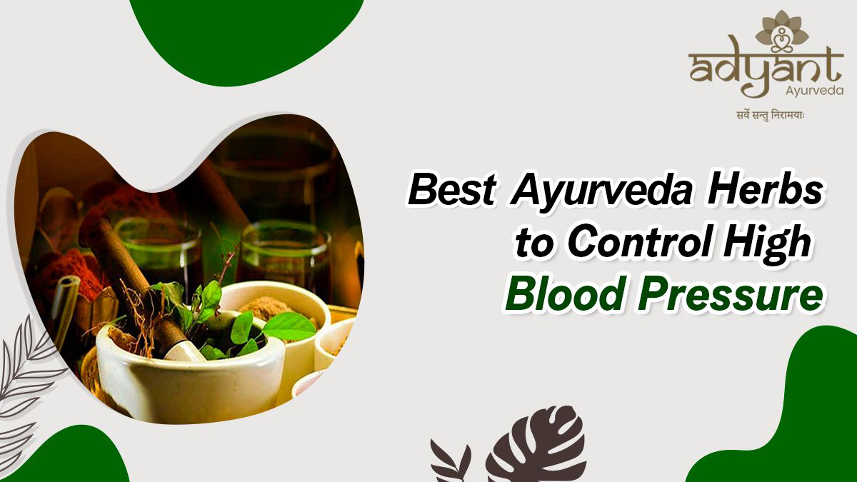 You are currently viewing Best Ayurveda Herbs to Control High Blood Pressure