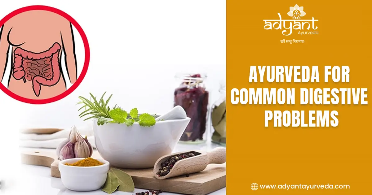 Read more about the article Ayurveda for Common Digestive Problems