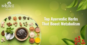 Read more about the article Top Ayurvedic Herbs That Boost Metabolism