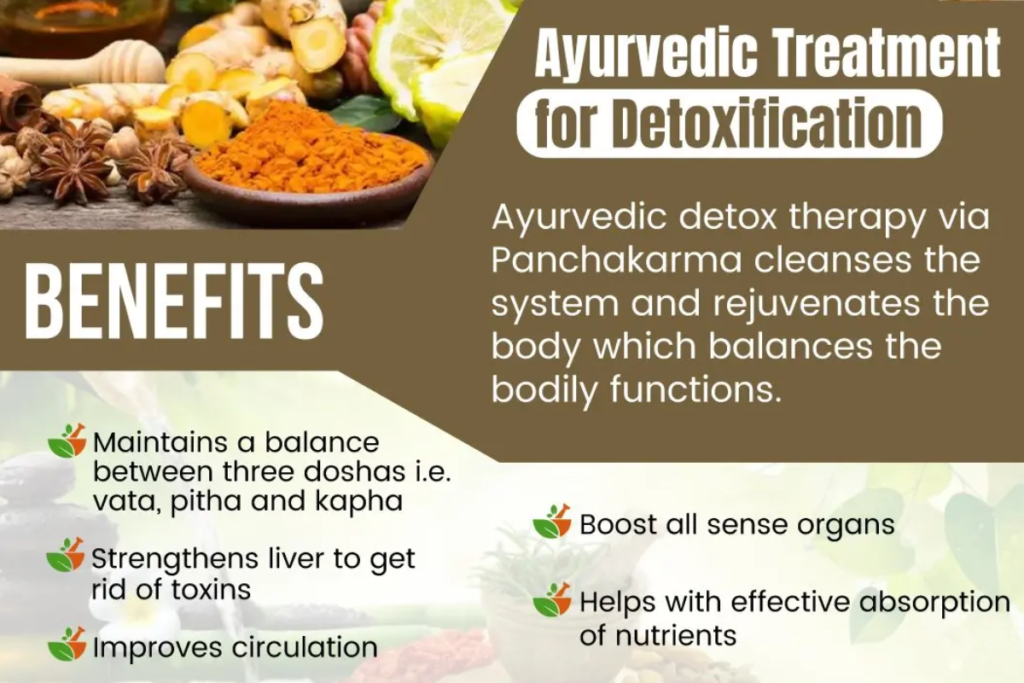 Ayurvedic Detoxification: Complete Guide to Cleanse and Rejuvenate Your Body Naturally
