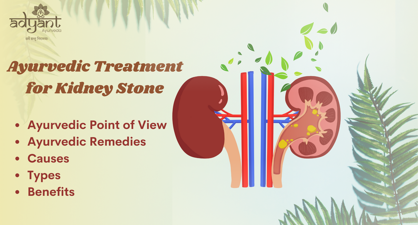 Read more about the article Ayurvedic Treatments for Kidney Stone: Types, Remedies, Causes, & Diet