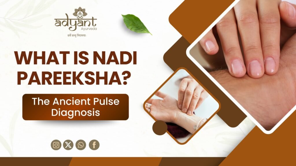 Nadi Pareeksha in Bangalore – Ancient Pulse Diagnosis at Adyant Ayurveda Nadi Pareeksha in Bangalore - Ancient Pulse Diagnosis at Adyant Ayurveda