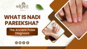 Read more about the article Nadi Pareeksha in Bangalore – Ancient Pulse Diagnosis at Adyant Ayurveda