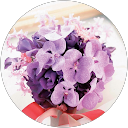 Keerthana Ramakrishnan profile picture